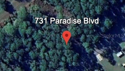 731 PARADISE BLVD, GEORGETOWN, FL, 32139