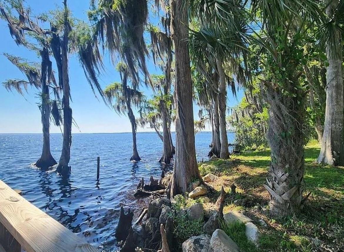 731 PARADISE BLVD, GEORGETOWN, FL, 32139