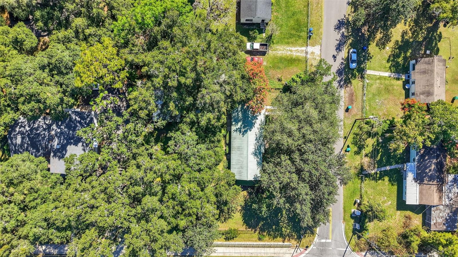 502 GRAY AVE, WILDWOOD, FL, 34785