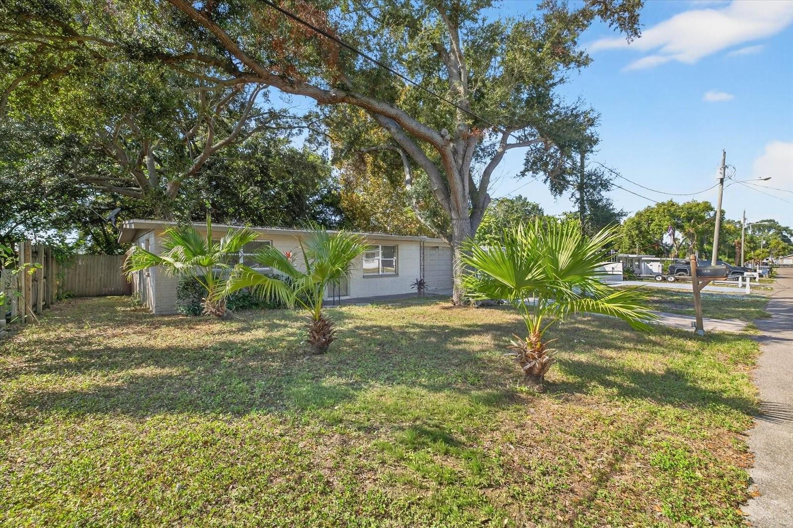 11015 MARTHA AVE, PORT RICHEY, FL, 34668
