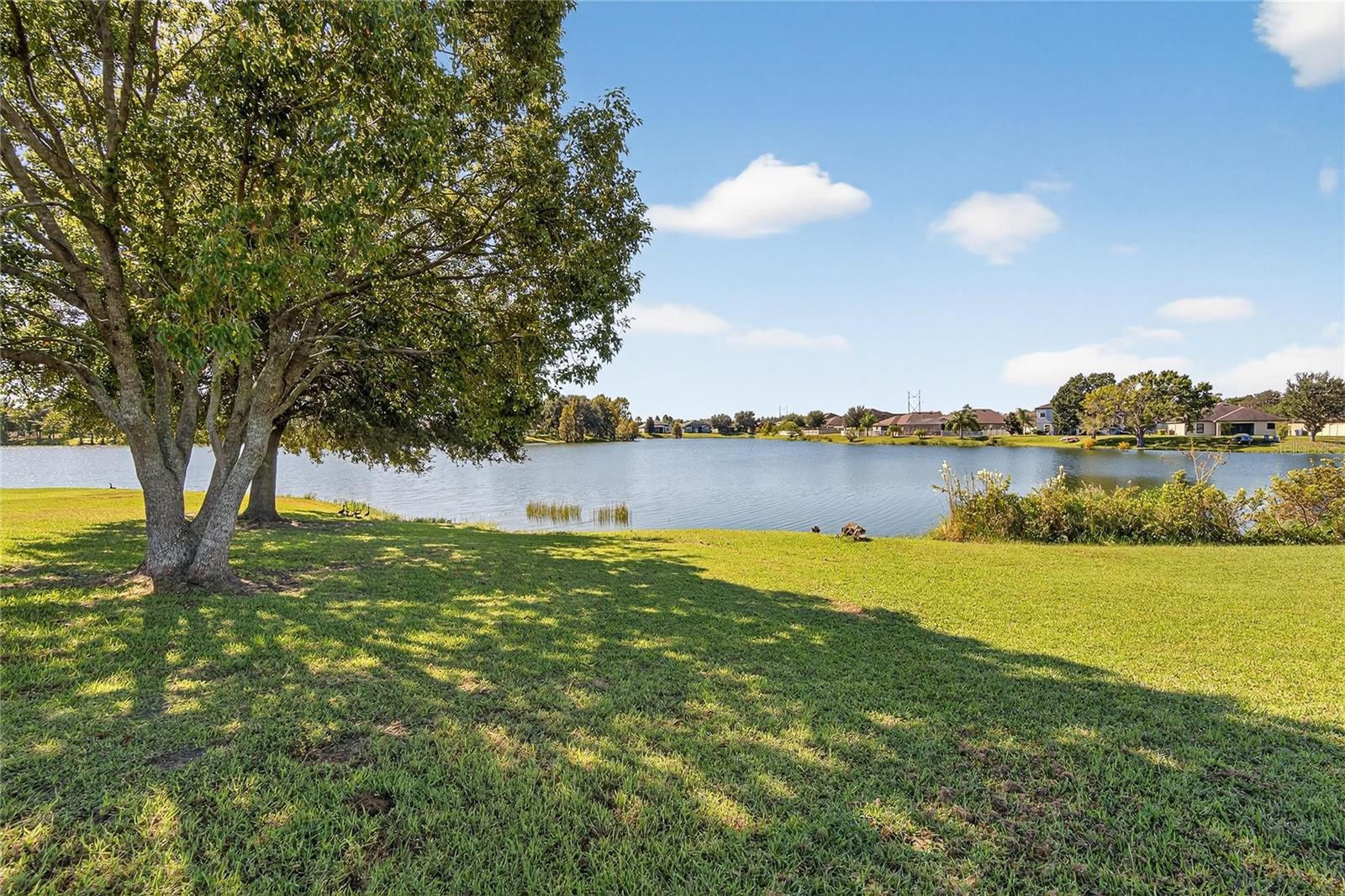 2133 GENEVA DR, LAKELAND, FL, 33805