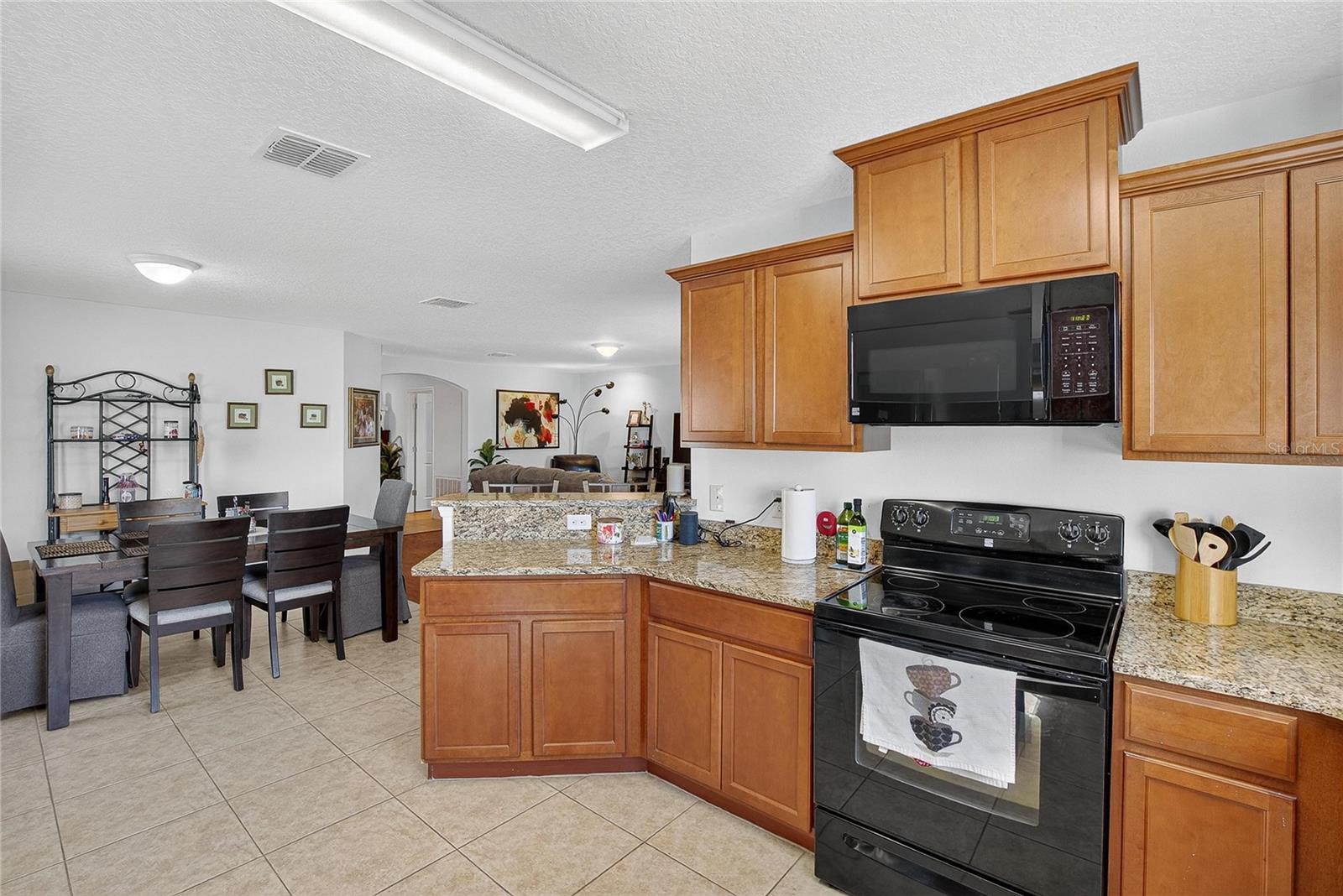 2133 GENEVA DR, LAKELAND, FL, 33805