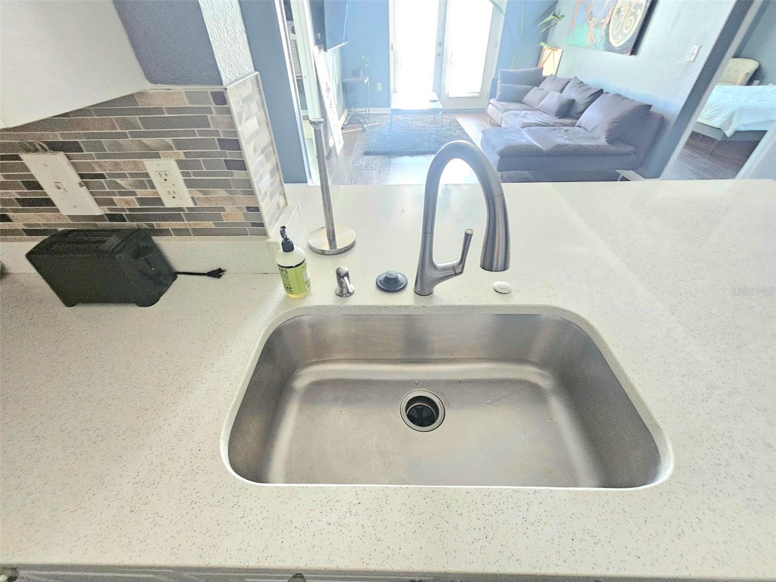 4221 W SPRUCE ST #2317, TAMPA, FL, 33607