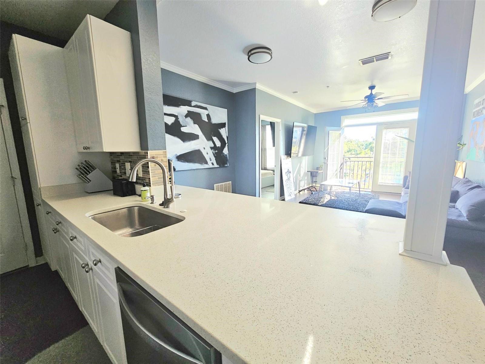 4221 W SPRUCE ST #2317, TAMPA, FL, 33607