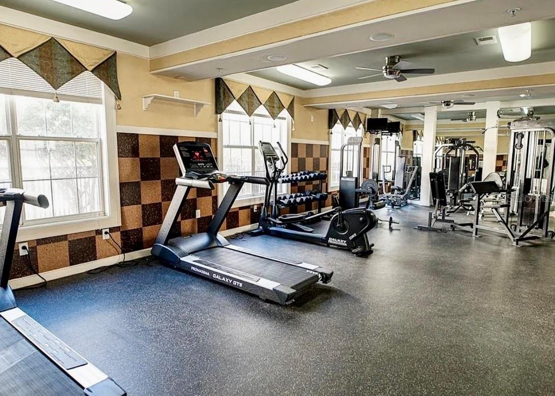 4221 W SPRUCE ST #2317, TAMPA, FL, 33607