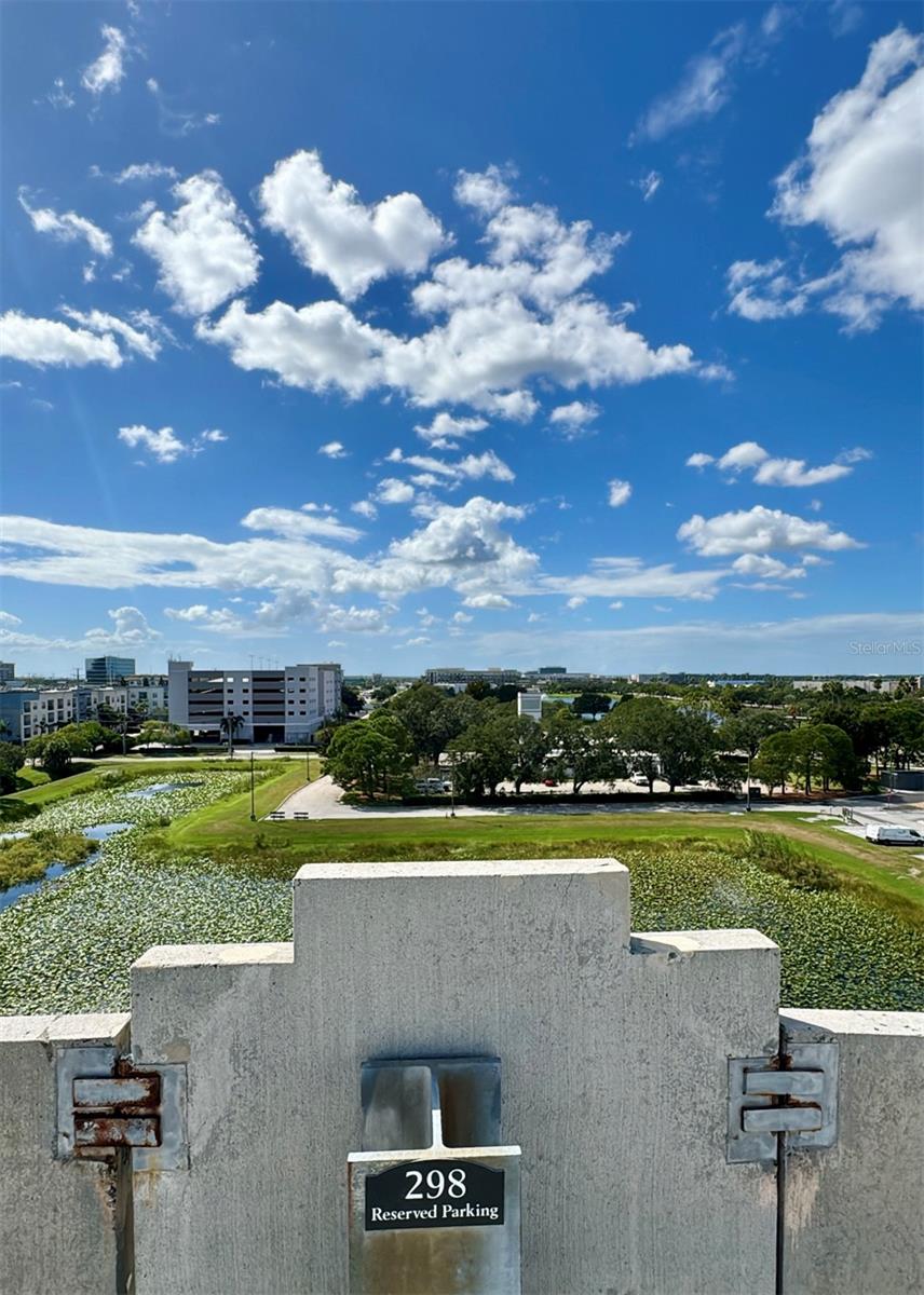 4221 W SPRUCE ST #2317, TAMPA, FL, 33607