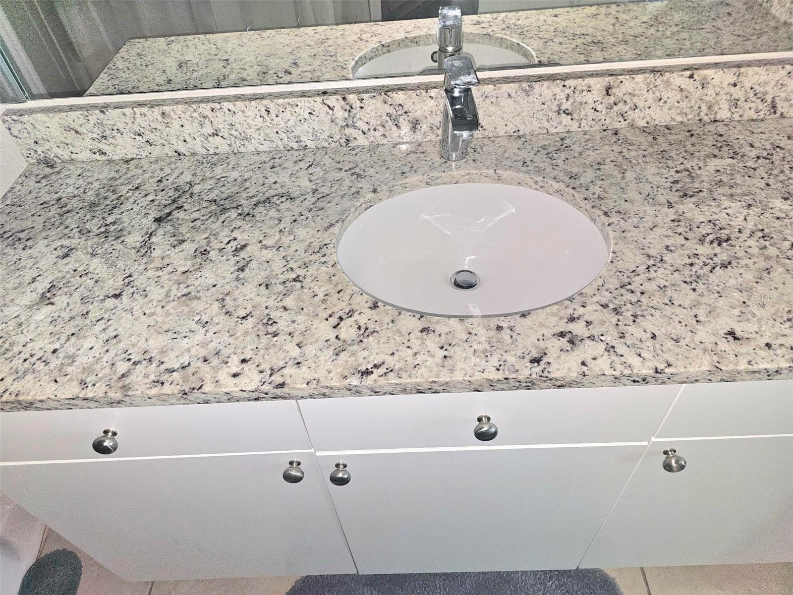 4221 W SPRUCE ST #2317, TAMPA, FL, 33607