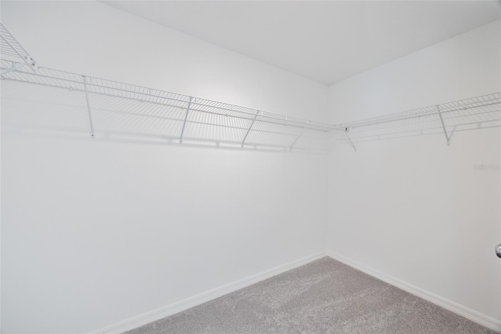 17504 NECTAR FLUME DR, LAND O LAKES, FL, 34638