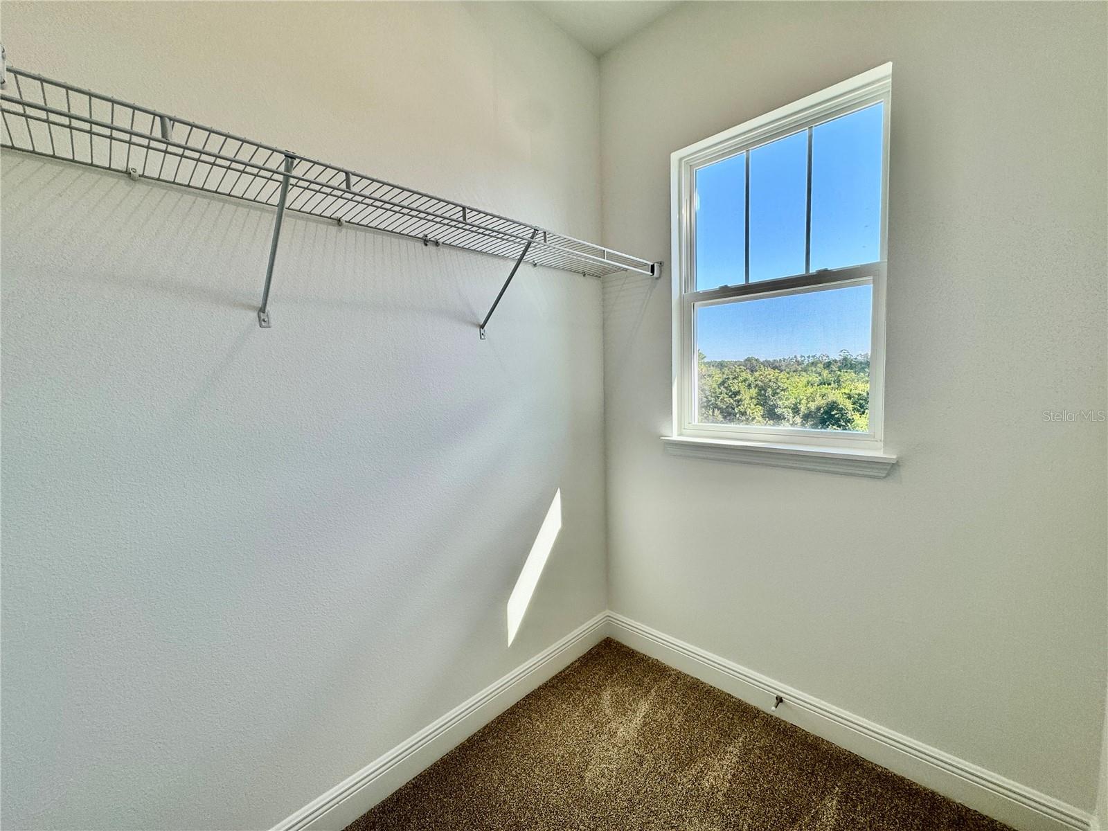 13084 SERENE GLADE RD, WINTER GARDEN, FL, 34787