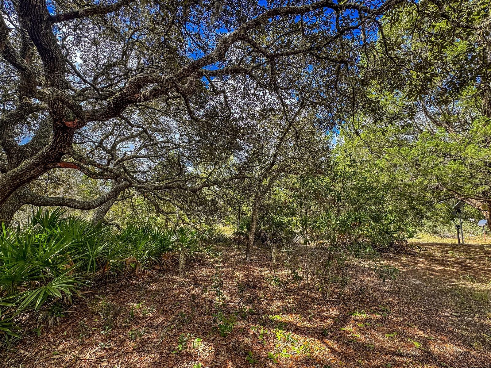 12060 EHRENWALD DR, WEEKI WACHEE, FL, 34613