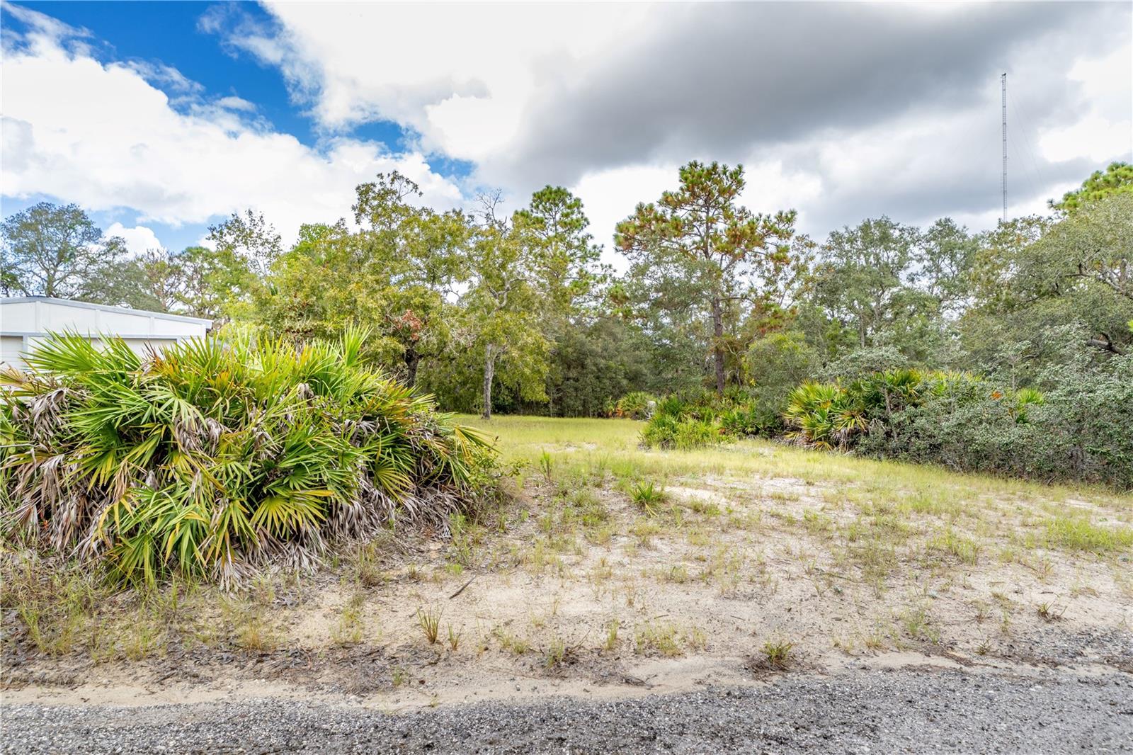 12060 EHRENWALD DR, WEEKI WACHEE, FL, 34613