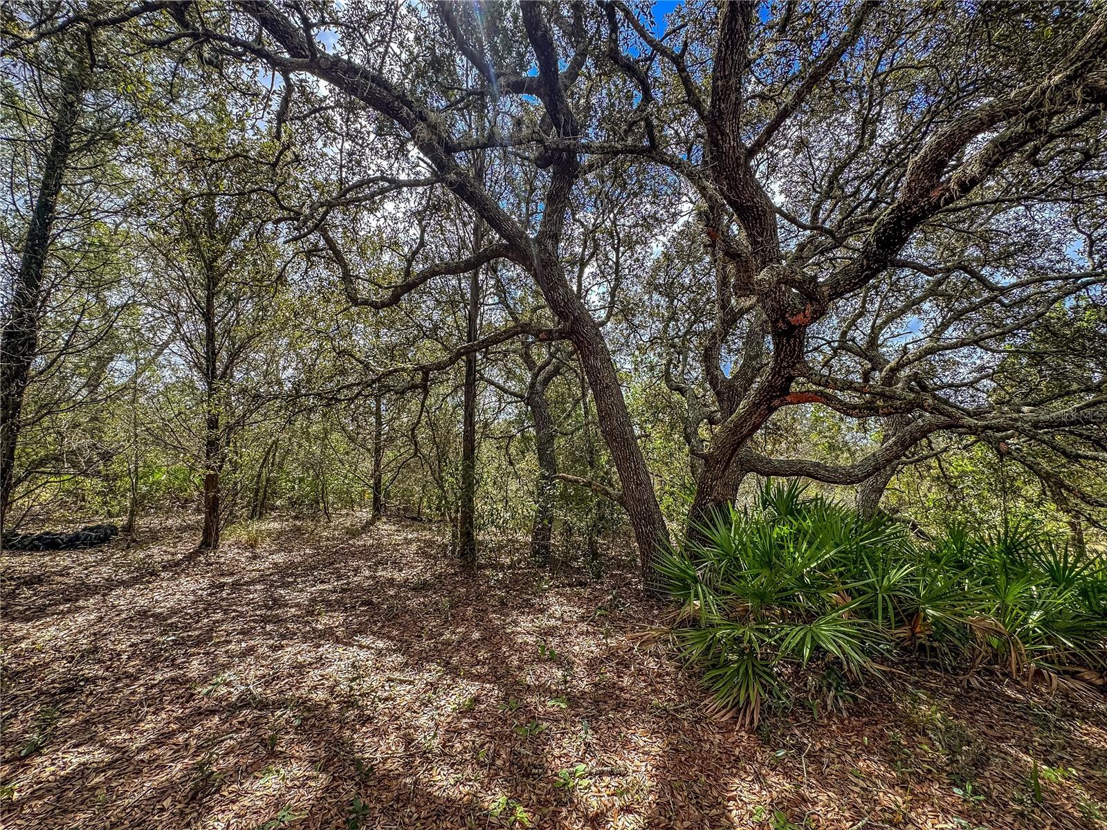 12060 EHRENWALD DR, WEEKI WACHEE, FL, 34613