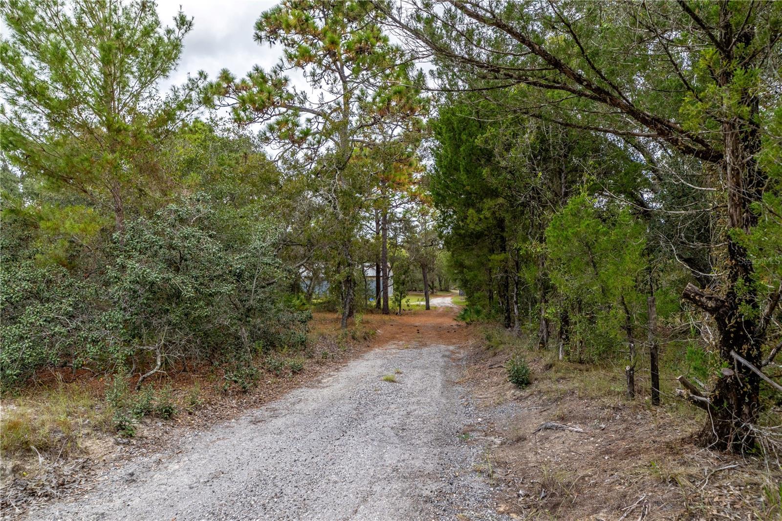 12060 EHRENWALD DR, WEEKI WACHEE, FL, 34613