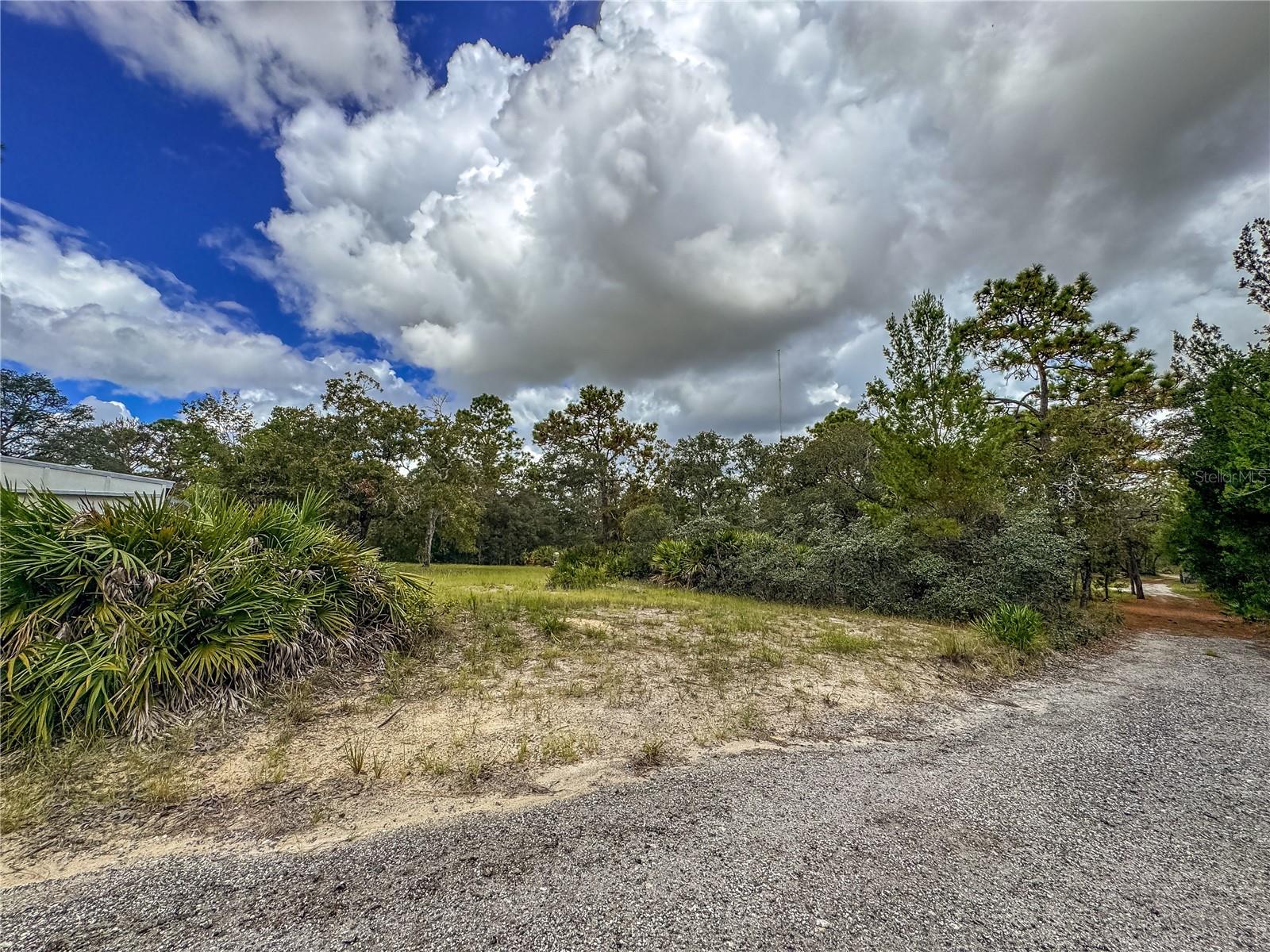 12060 EHRENWALD DR, WEEKI WACHEE, FL, 34613