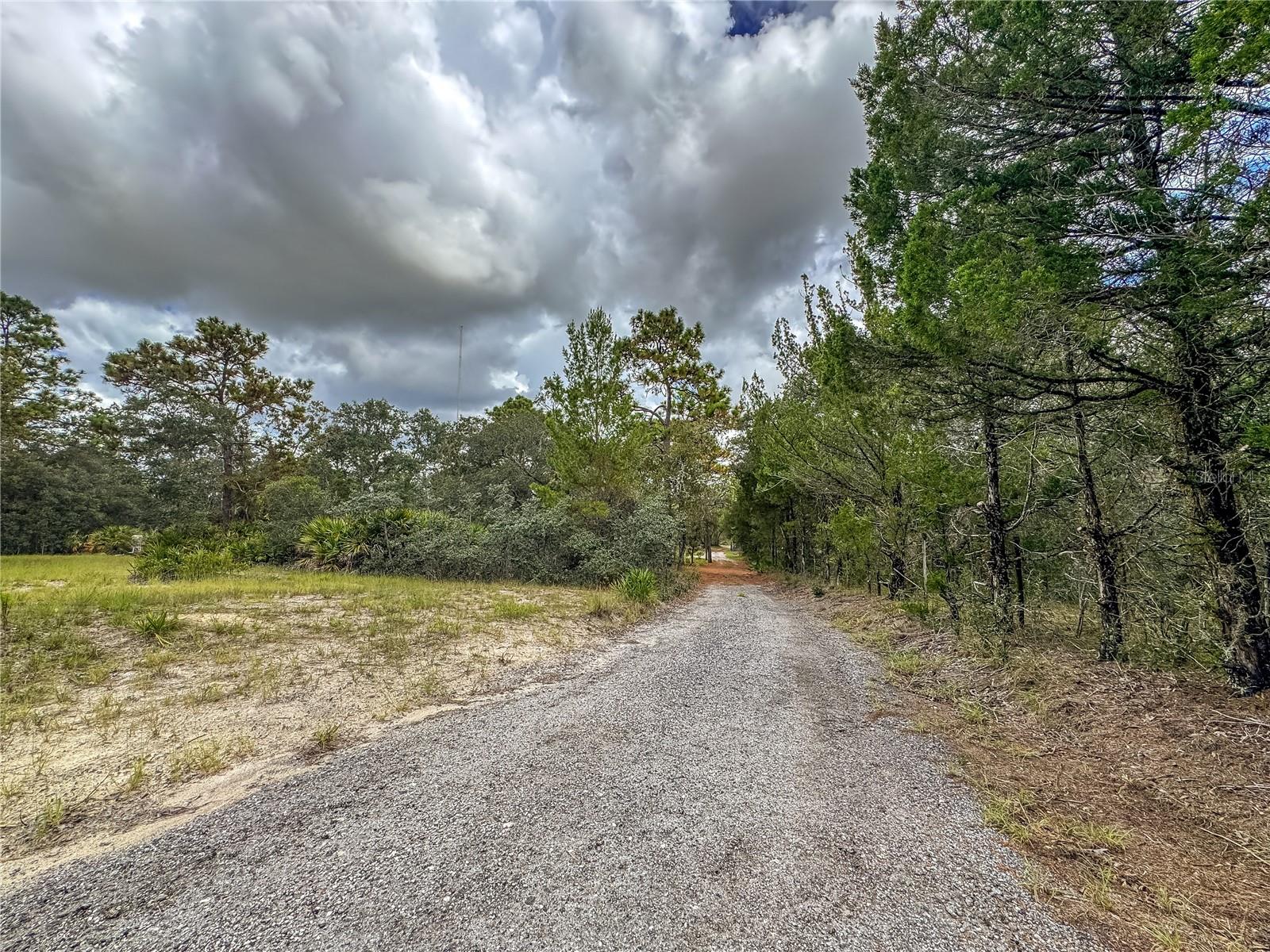 12060 EHRENWALD DR, WEEKI WACHEE, FL, 34613