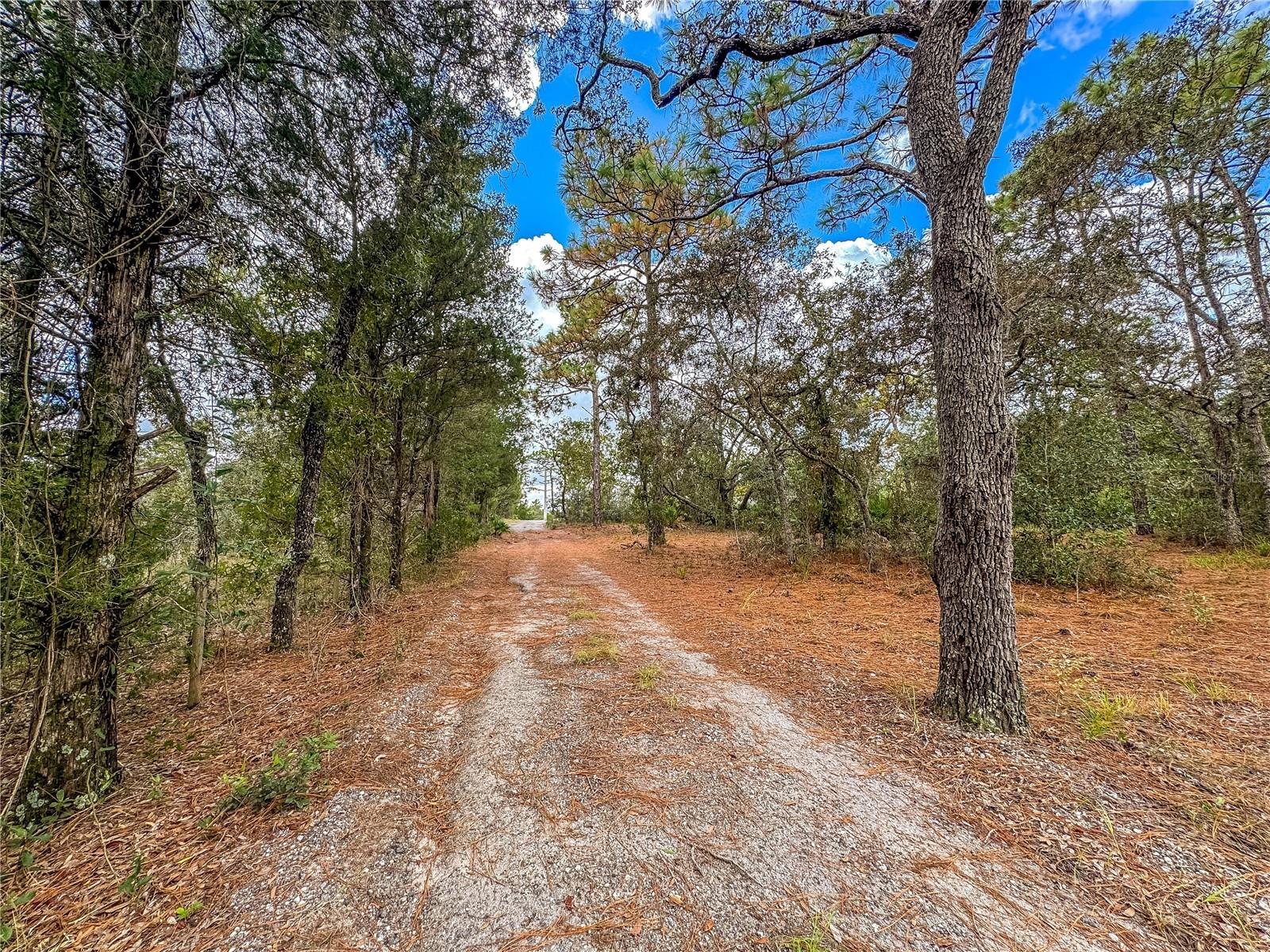 12060 EHRENWALD DR, WEEKI WACHEE, FL, 34613