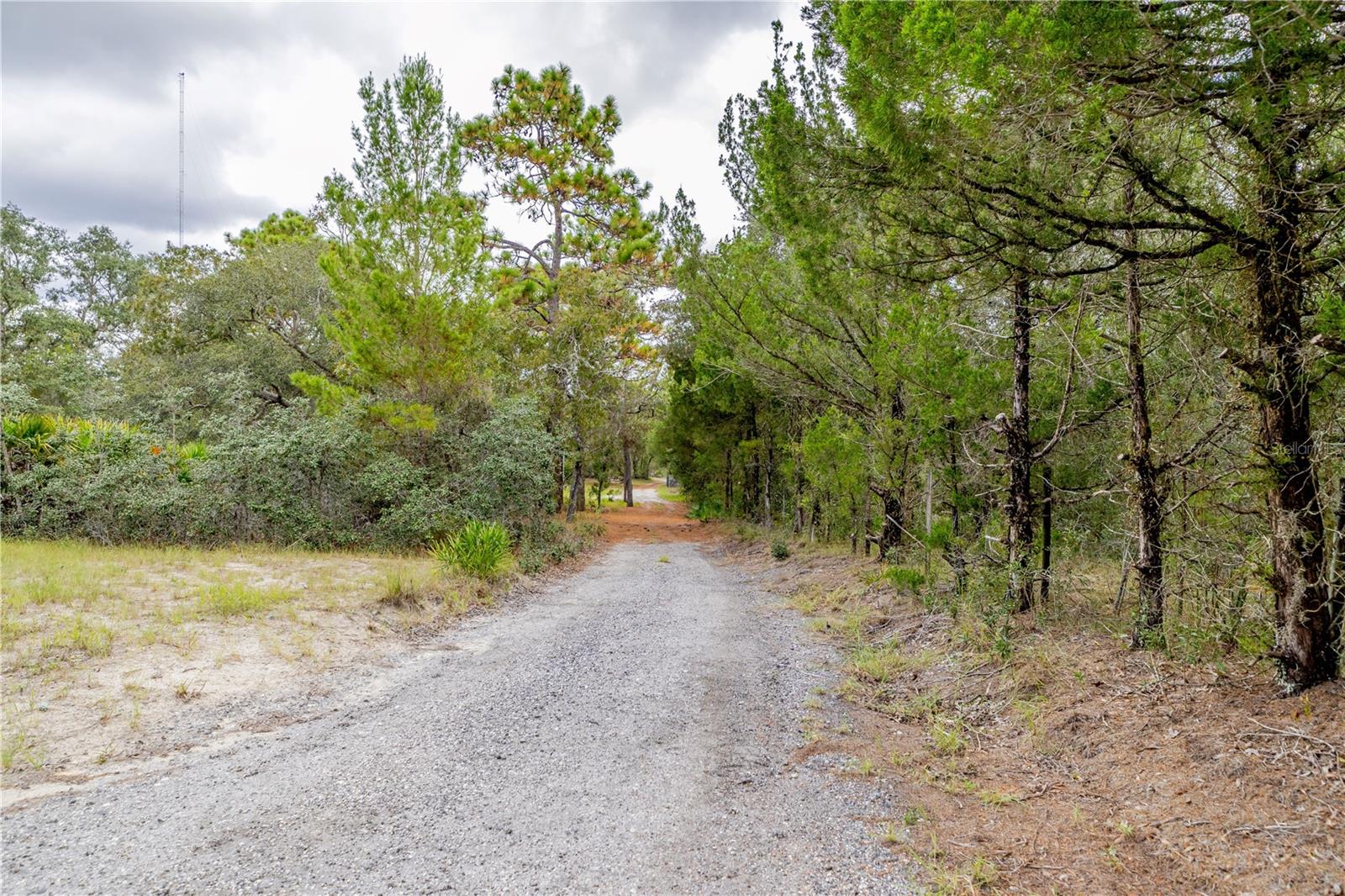 12060 EHRENWALD DR, WEEKI WACHEE, FL, 34613