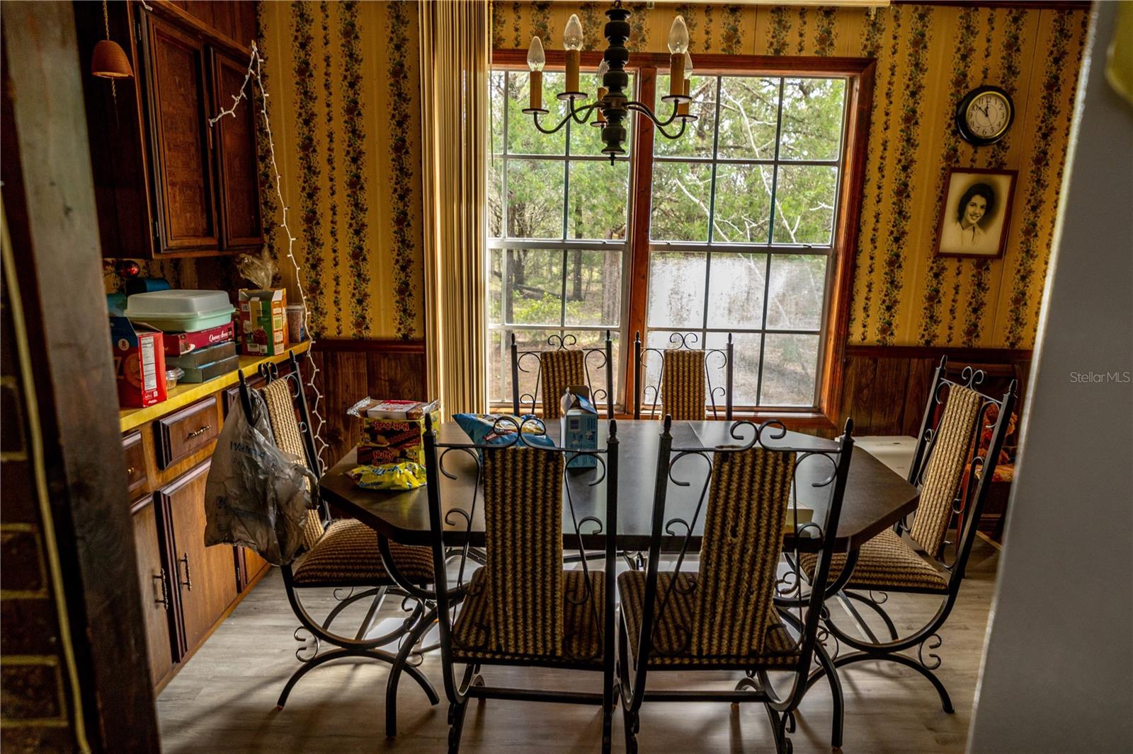 12060 EHRENWALD DR, WEEKI WACHEE, FL, 34613