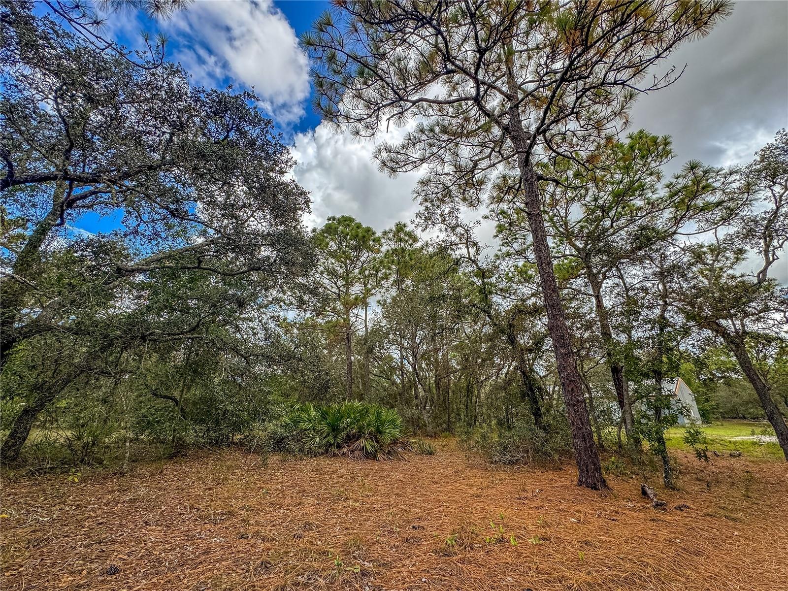 12060 EHRENWALD DR, WEEKI WACHEE, FL, 34613