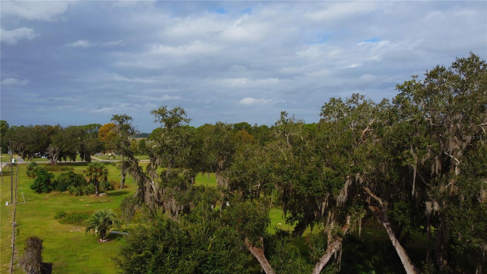 11701 SE HIGHWAY 464, OCKLAWAHA, FL, 32179