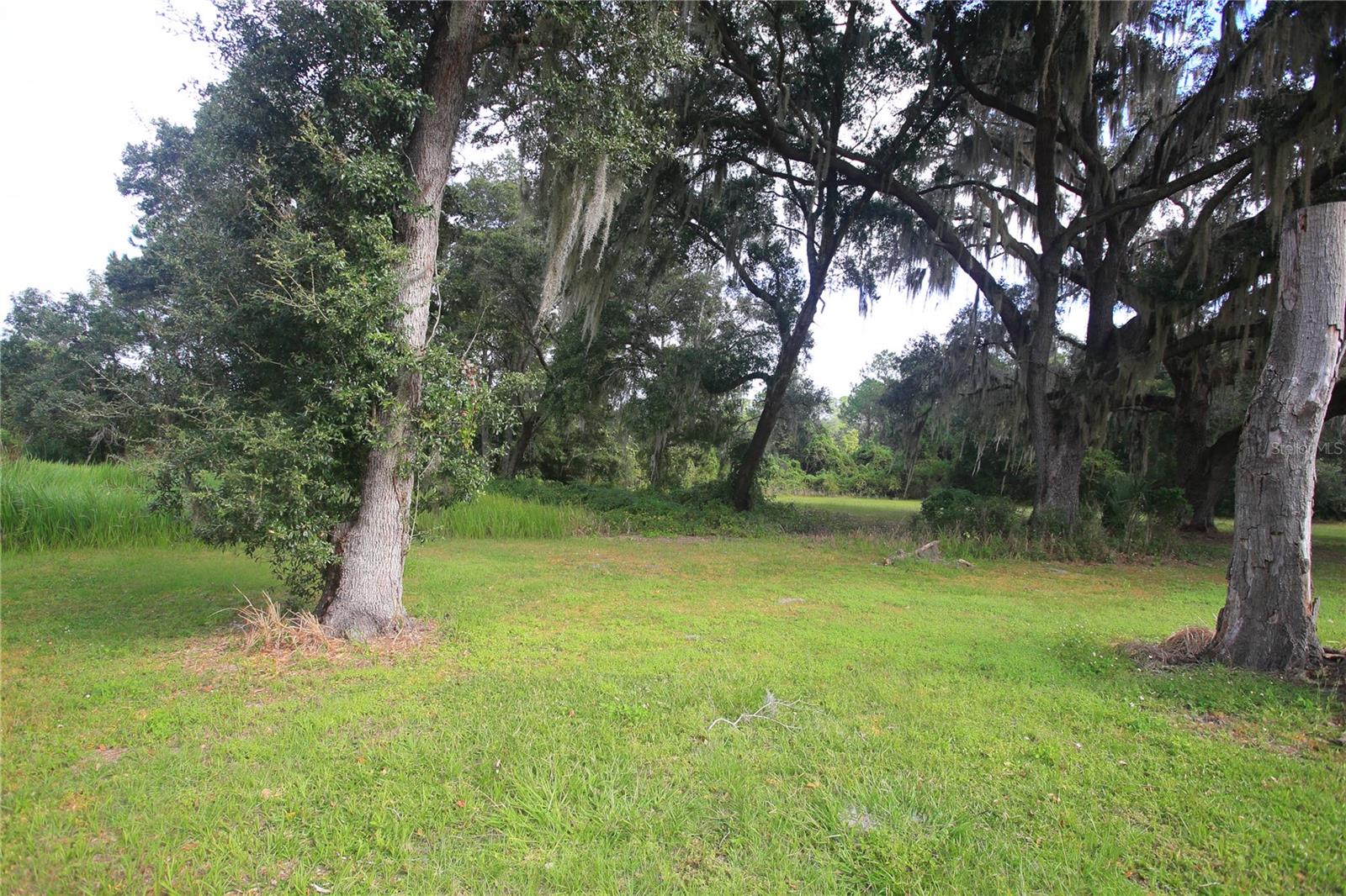 11701 SE HIGHWAY 464, OCKLAWAHA, FL, 32179