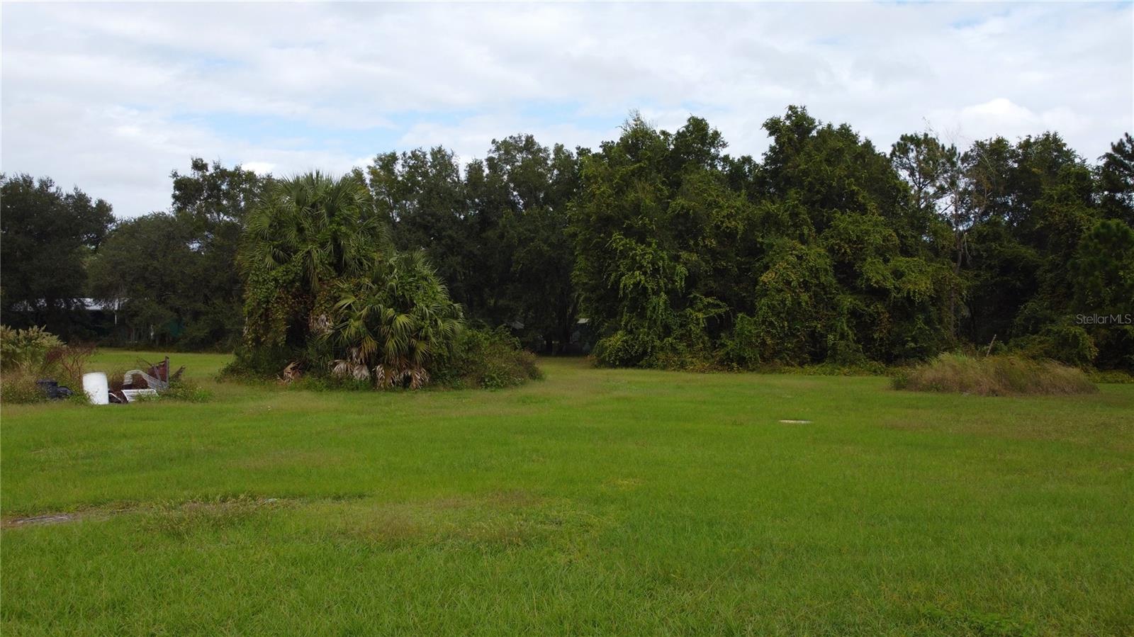 11701 SE HIGHWAY 464, OCKLAWAHA, FL, 32179