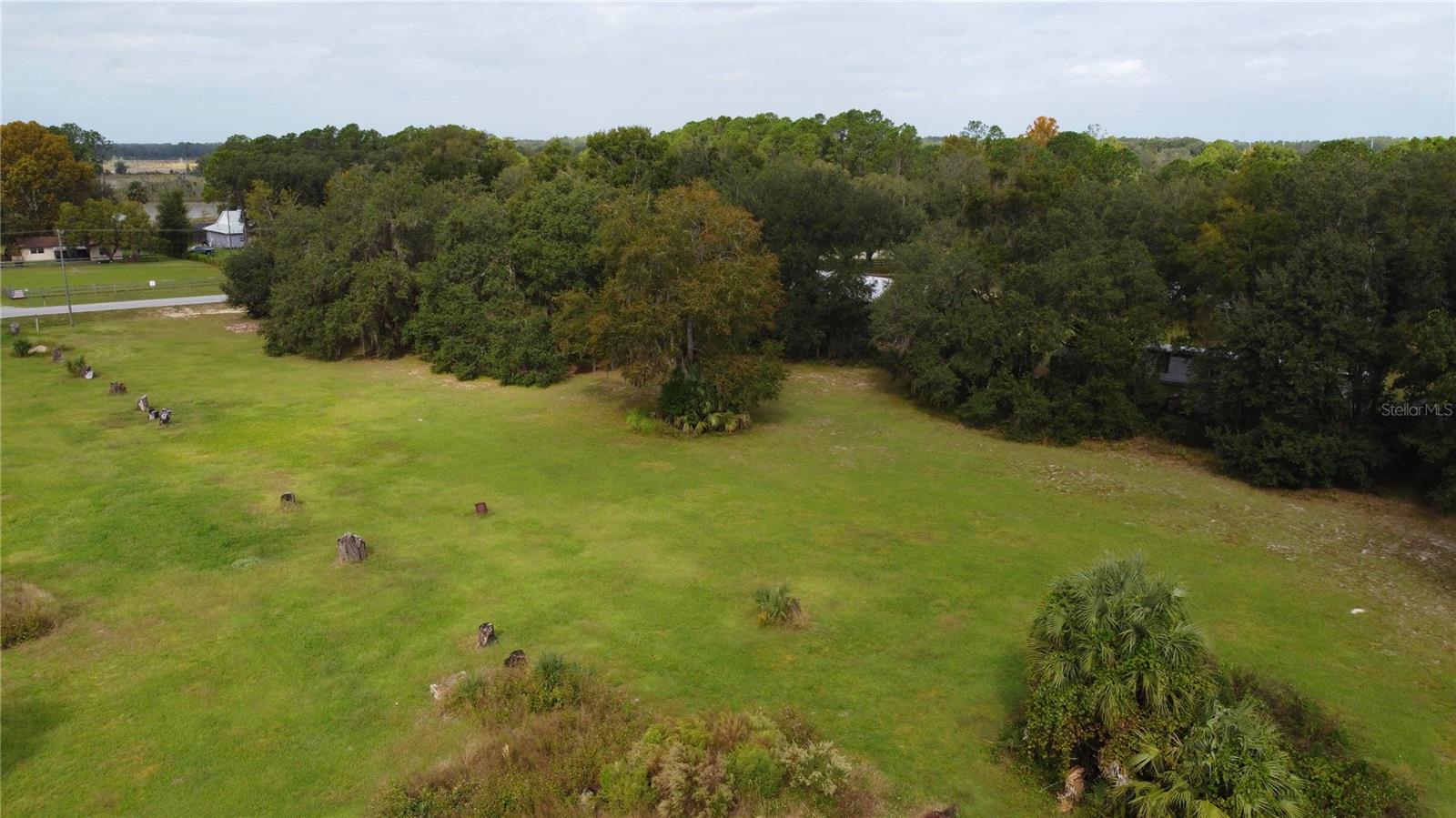 11701 SE HIGHWAY 464, OCKLAWAHA, FL, 32179