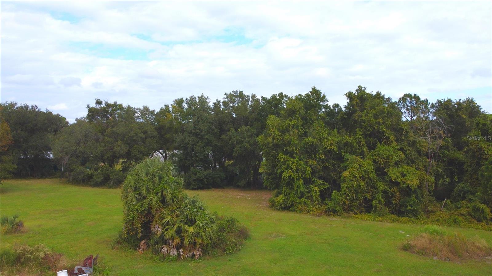 11701 SE HIGHWAY 464, OCKLAWAHA, FL, 32179