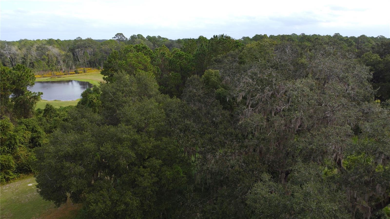 11701 SE HIGHWAY 464, OCKLAWAHA, FL, 32179