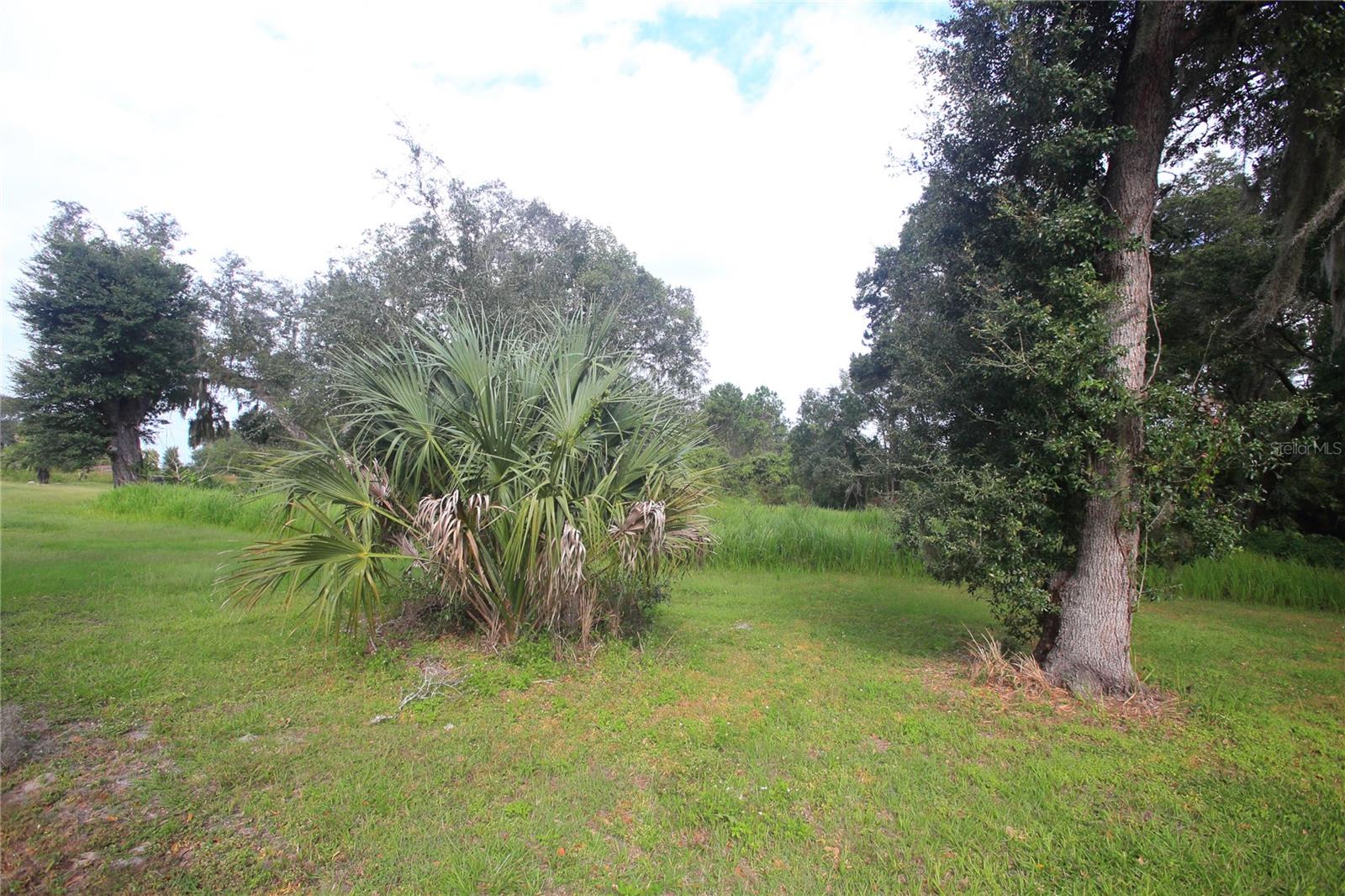 11701 SE HIGHWAY 464, OCKLAWAHA, FL, 32179