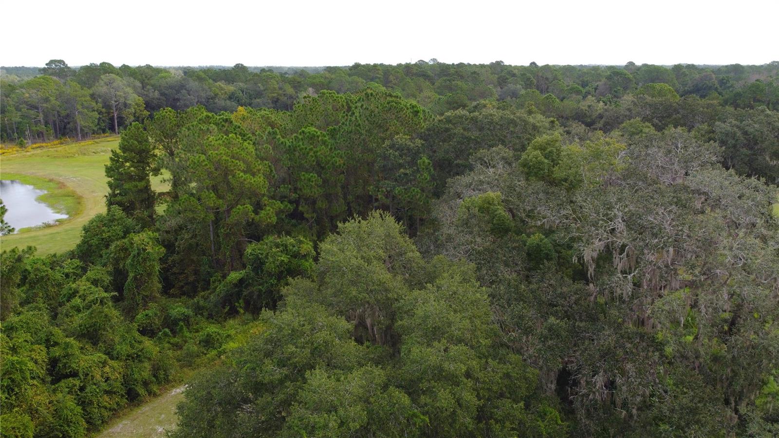 11701 SE HIGHWAY 464, OCKLAWAHA, FL, 32179