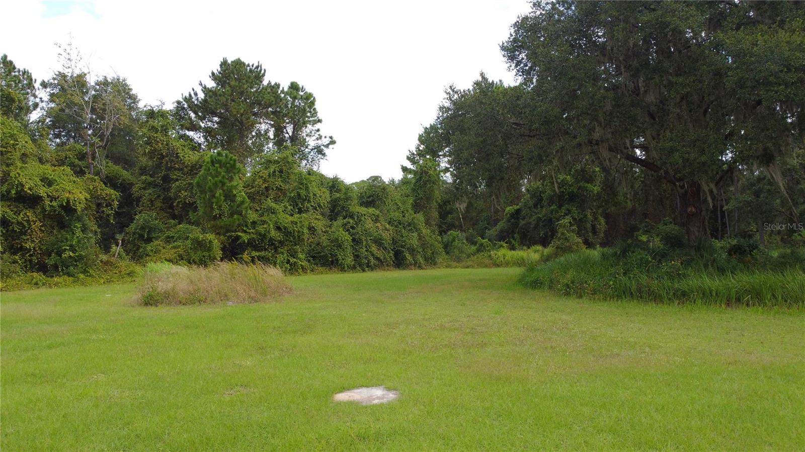 11701 SE HIGHWAY 464, OCKLAWAHA, FL, 32179