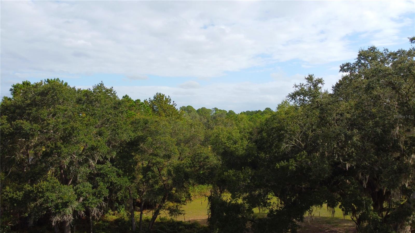 11701 SE HIGHWAY 464, OCKLAWAHA, FL, 32179