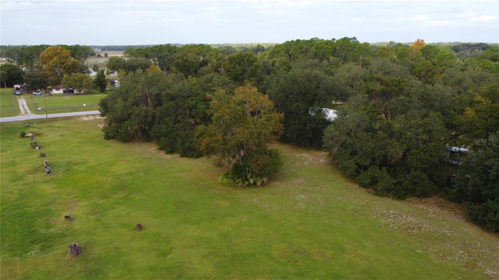 11701 SE HIGHWAY 464, OCKLAWAHA, FL, 32179