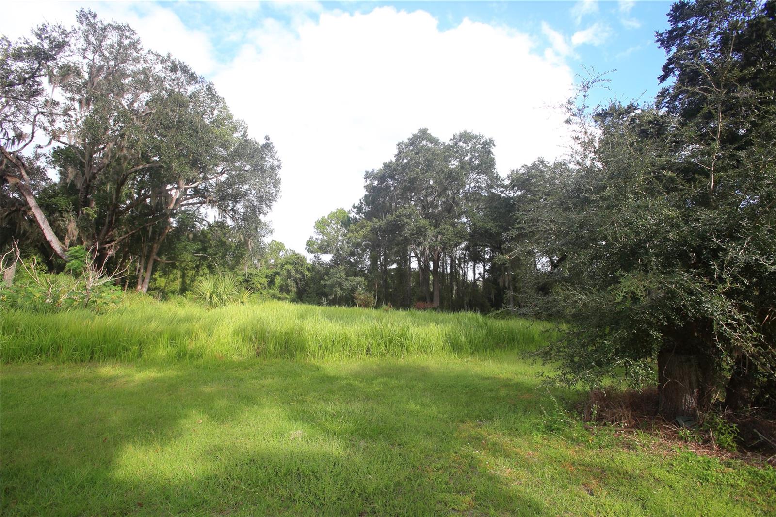 11701 SE HIGHWAY 464, OCKLAWAHA, FL, 32179