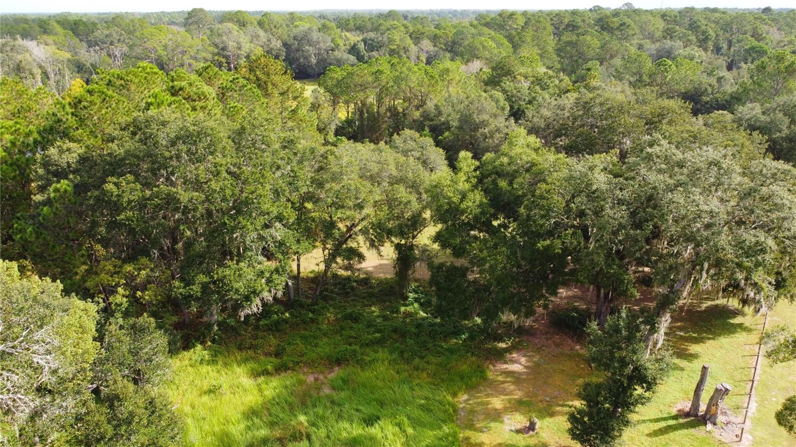 11701 SE HIGHWAY 464, OCKLAWAHA, FL, 32179