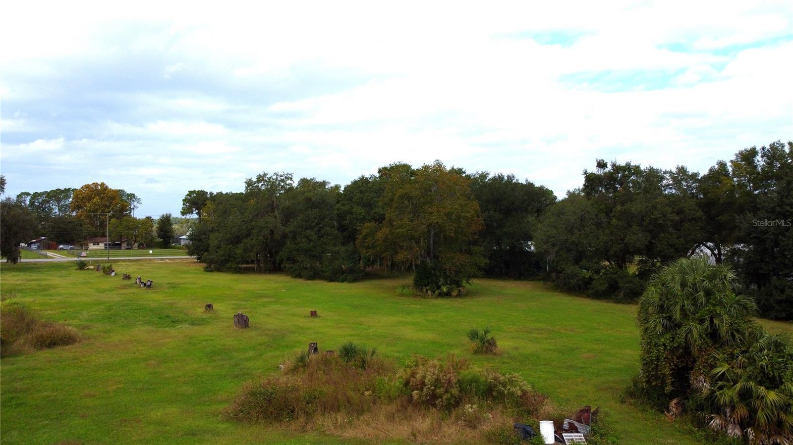 11701 SE HIGHWAY 464, OCKLAWAHA, FL, 32179