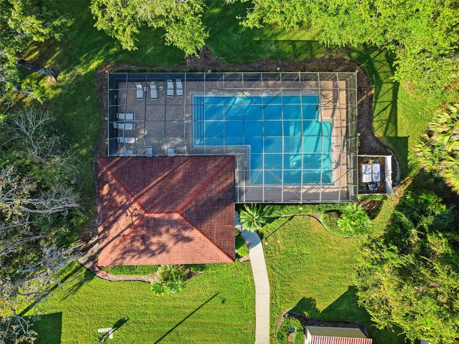 3350 MERMOOR DR #1201, PALM HARBOR, FL, 34685