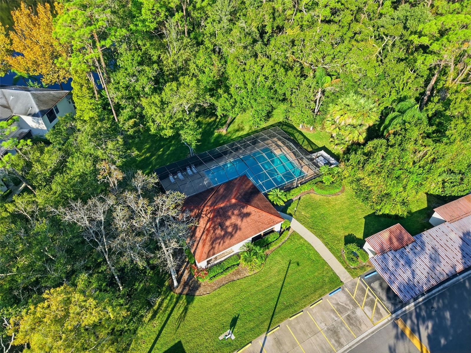 3350 MERMOOR DR #1201, PALM HARBOR, FL, 34685