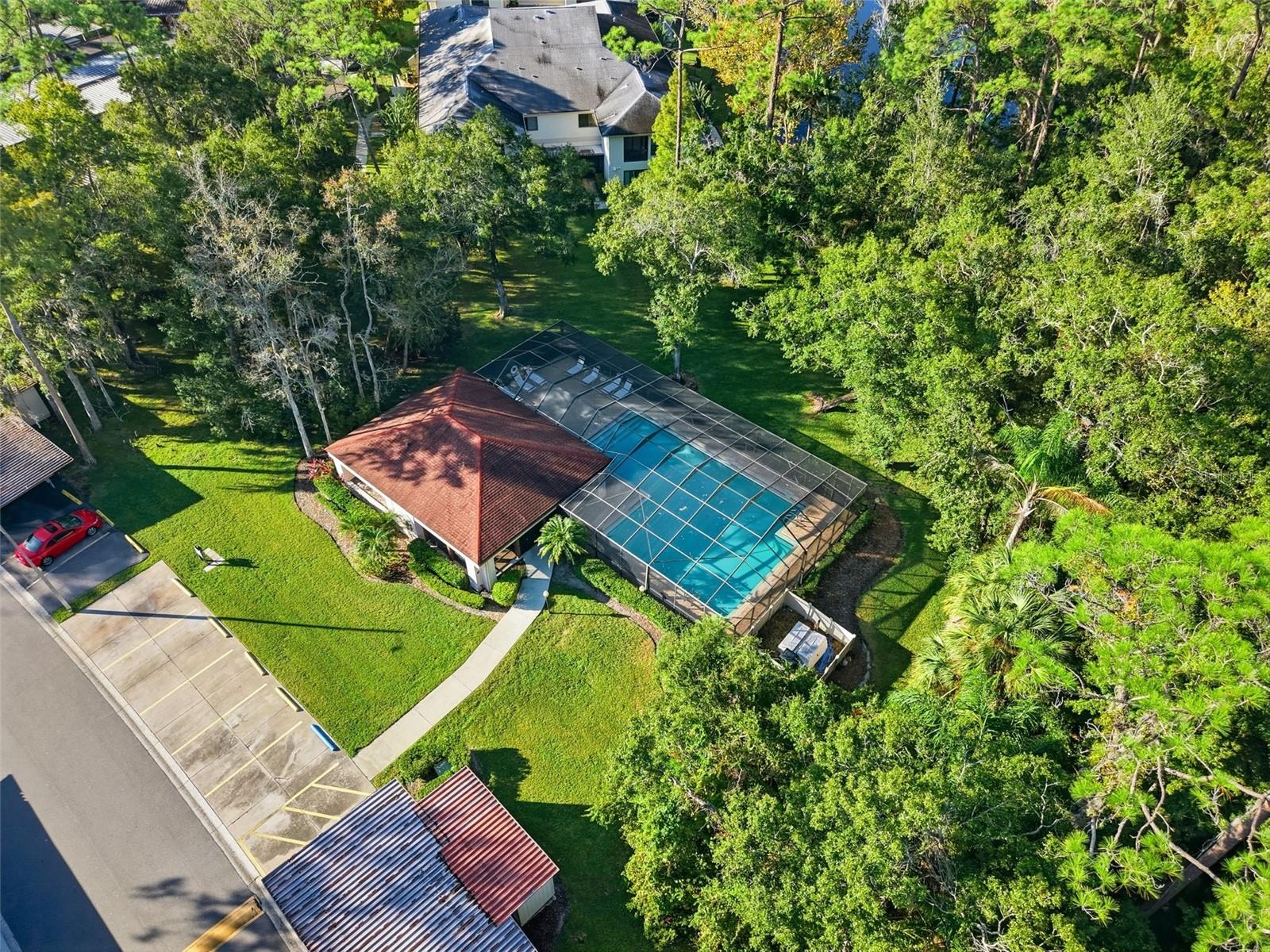 3350 MERMOOR DR #1201, PALM HARBOR, FL, 34685