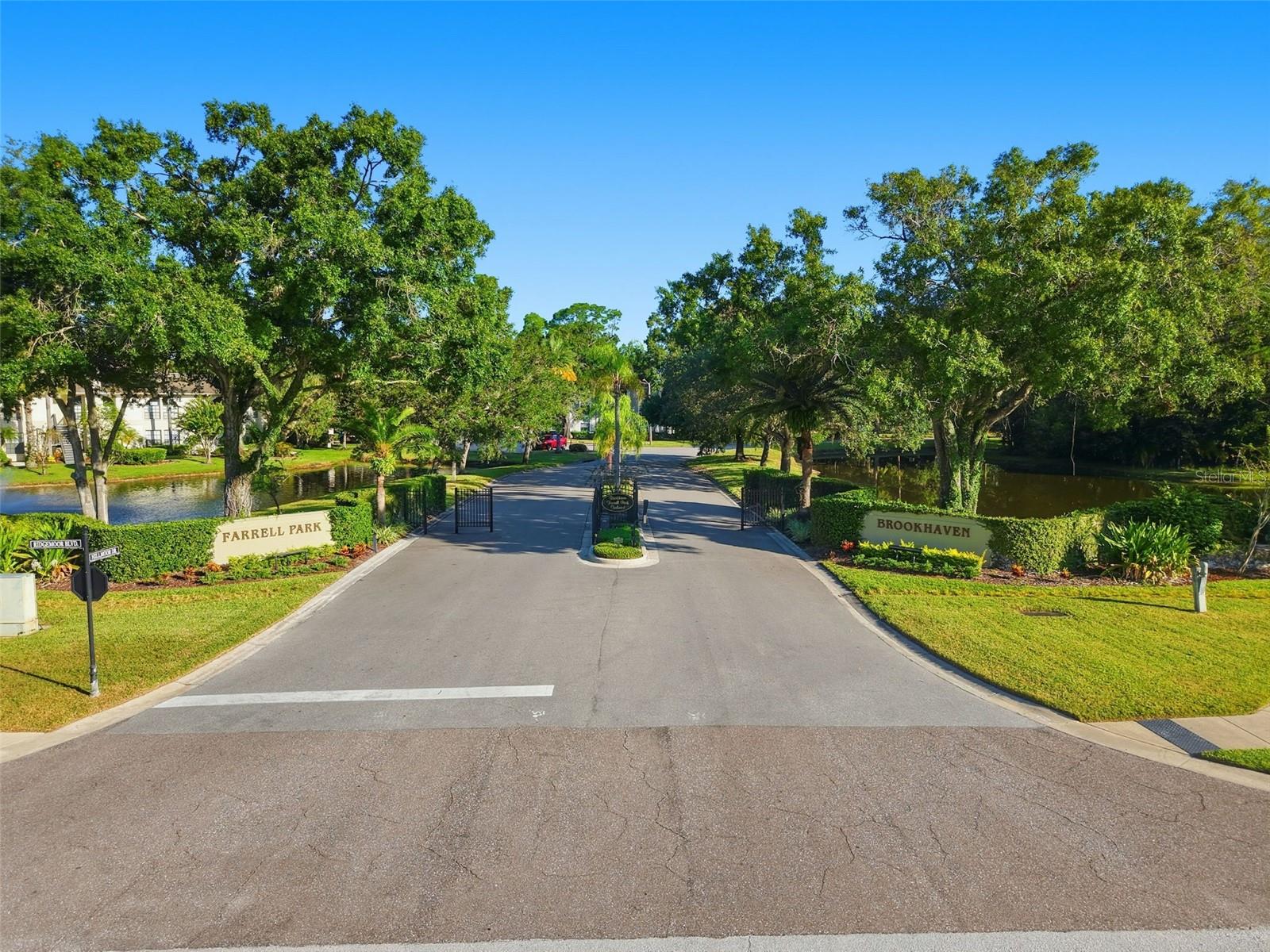 3350 MERMOOR DR #1201, PALM HARBOR, FL, 34685