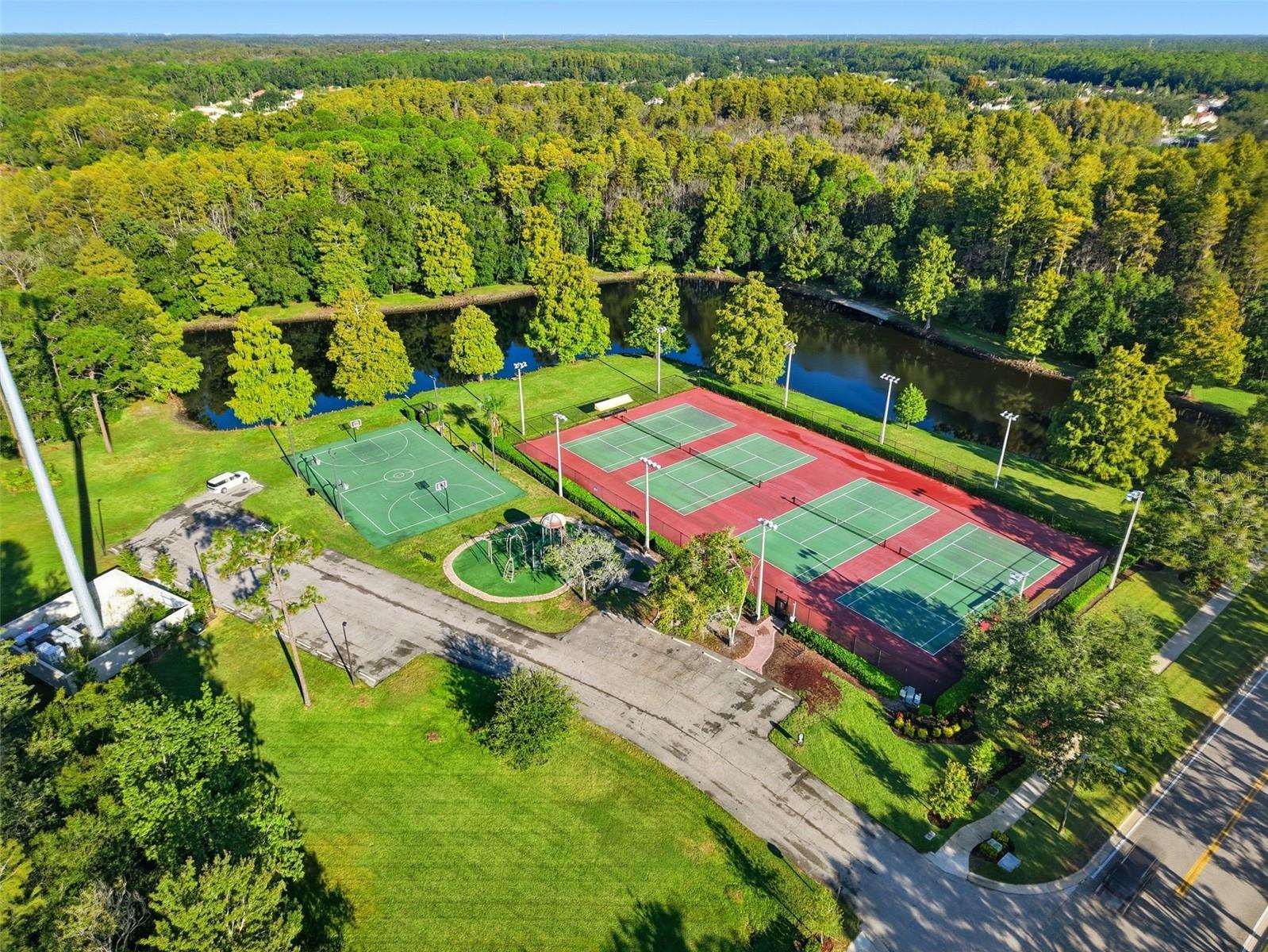 3350 MERMOOR DR #1201, PALM HARBOR, FL, 34685