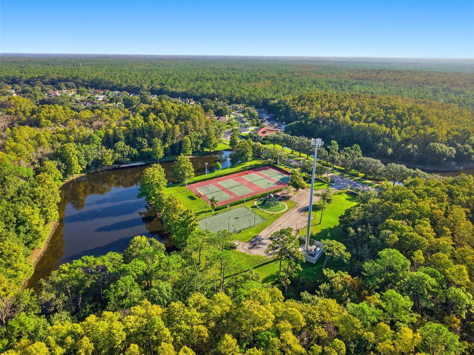 3350 MERMOOR DR #1201, PALM HARBOR, FL, 34685