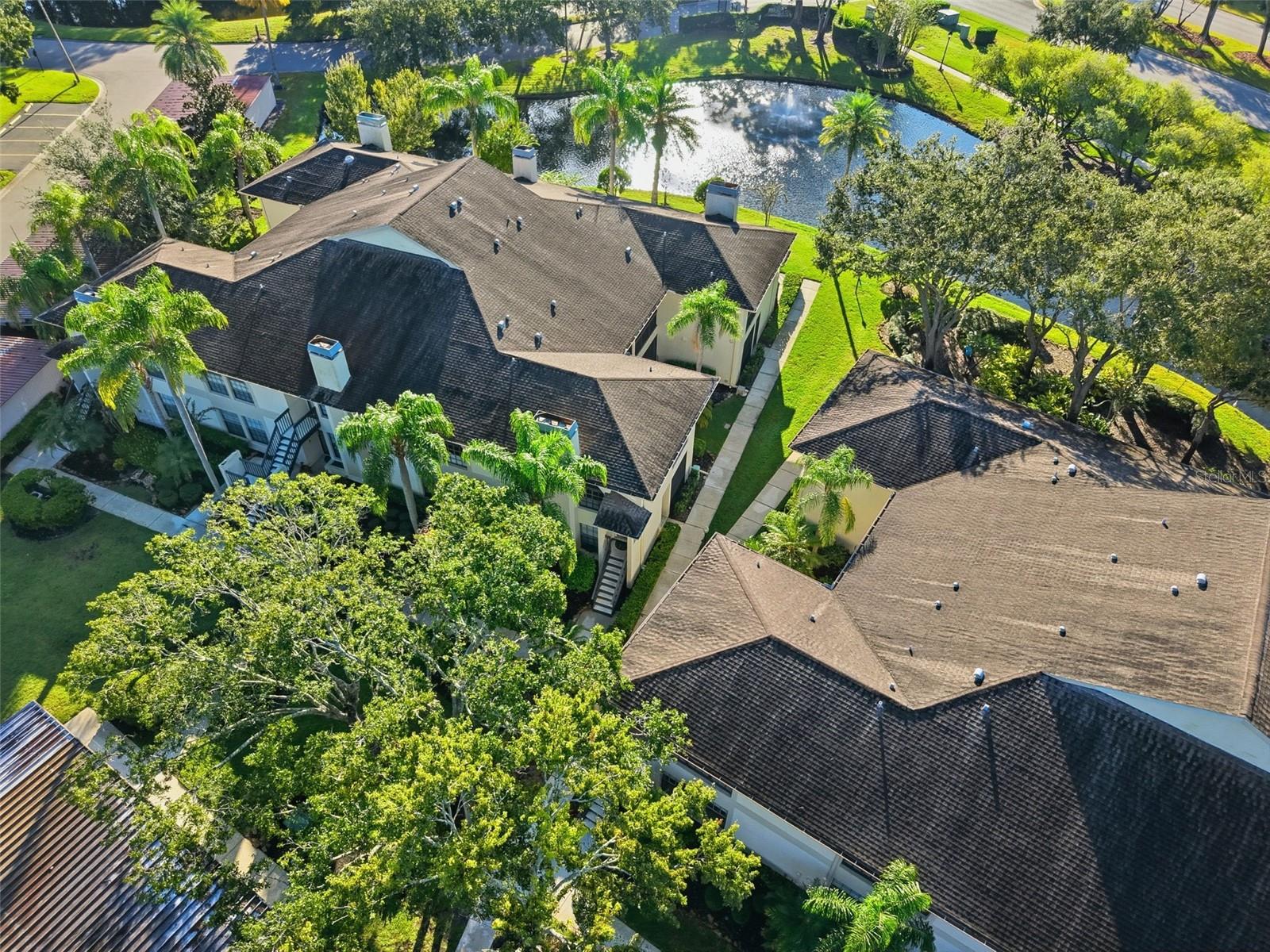 3350 MERMOOR DR #1201, PALM HARBOR, FL, 34685