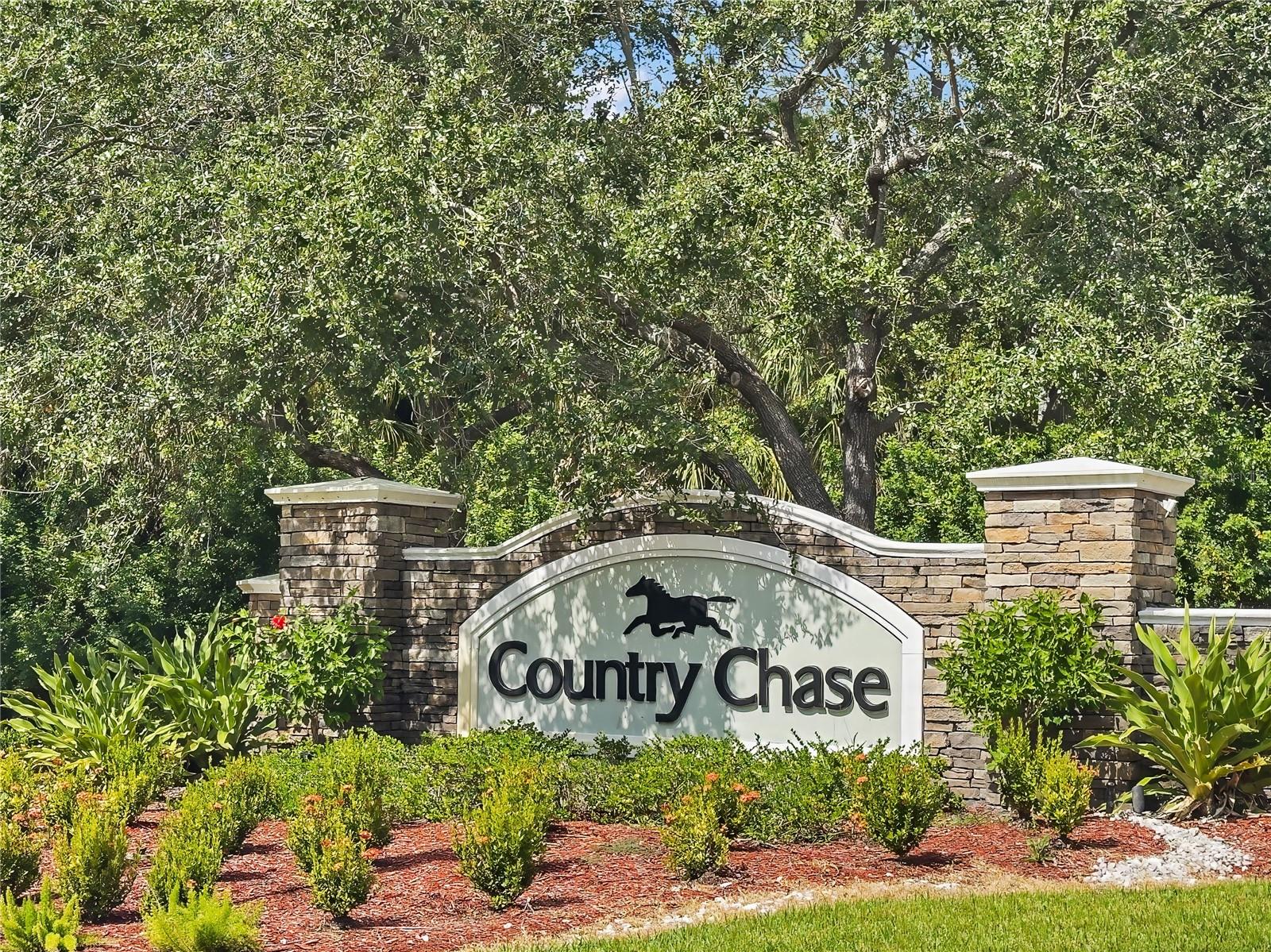 12429 COUNTRY WHITE CIR, TAMPA, FL, 33635