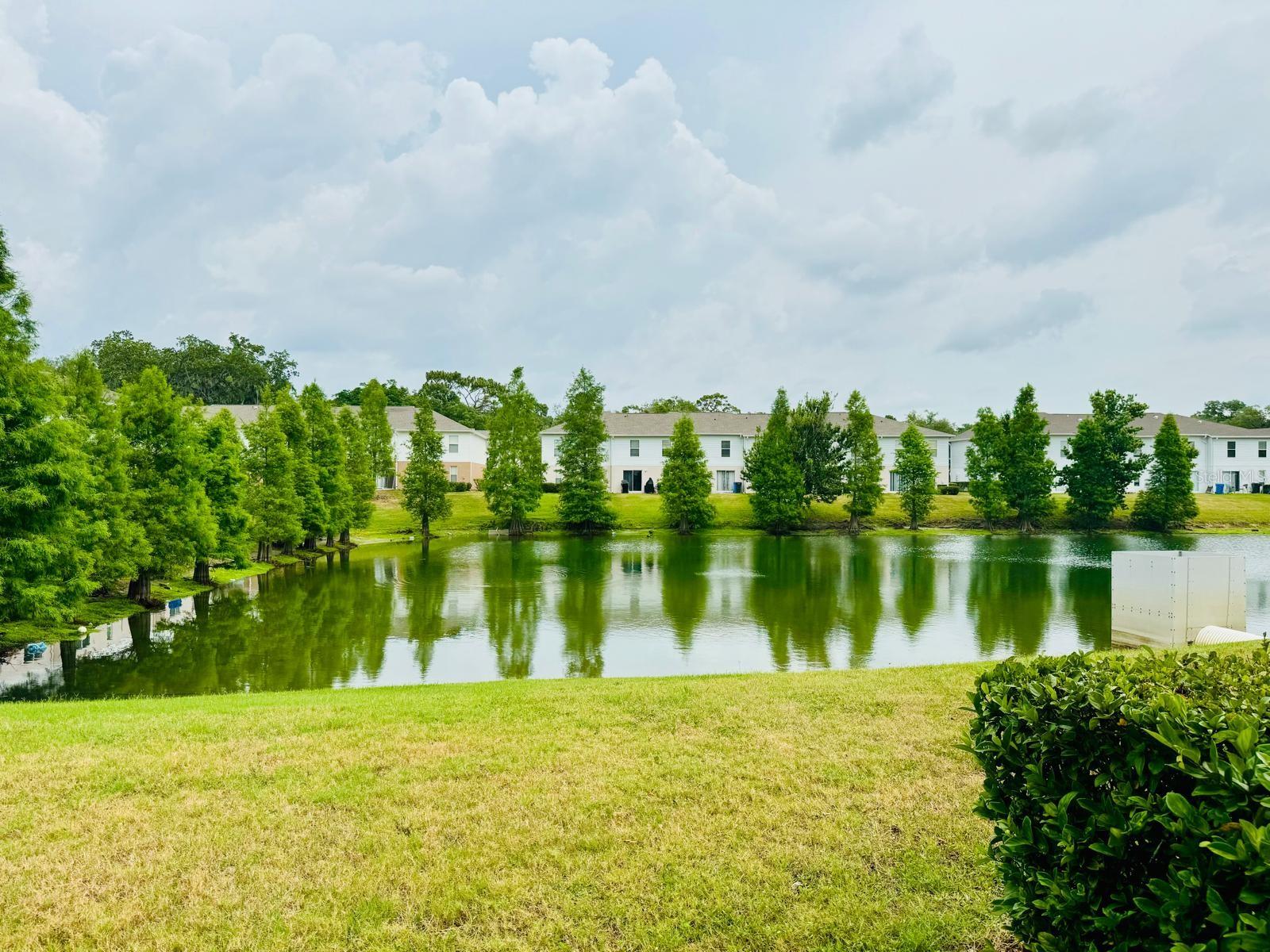 4518 ASHBURN SQUARE DR, TAMPA, FL, 33610