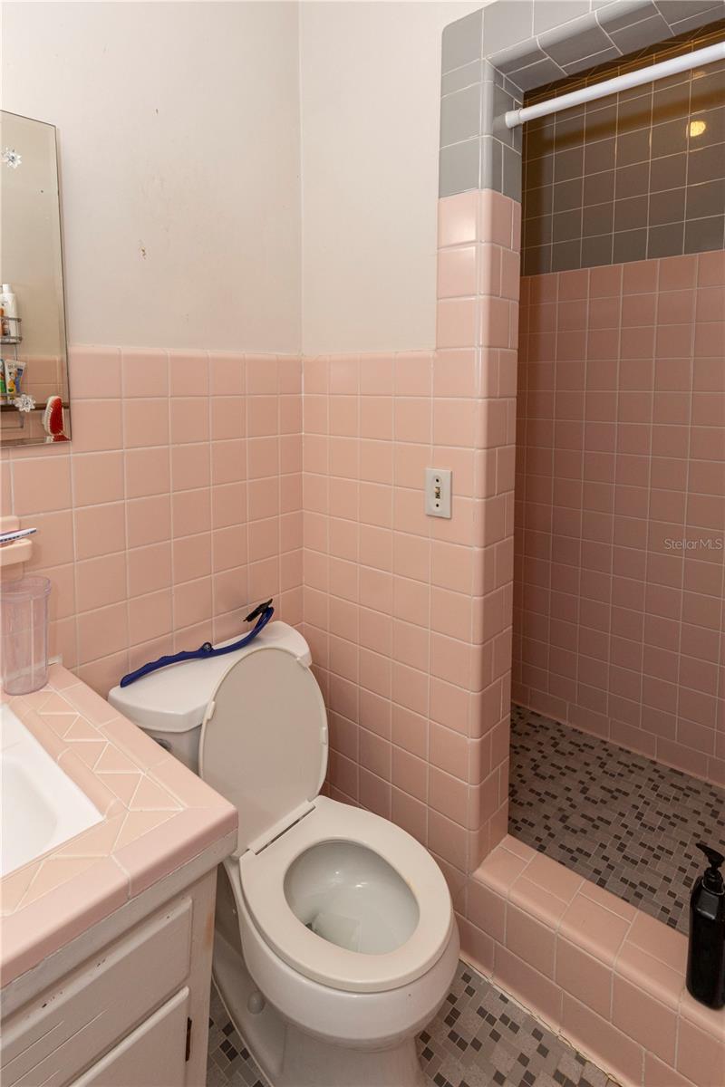 1434 ROOSEVELT ST, ORLANDO, FL, 32804