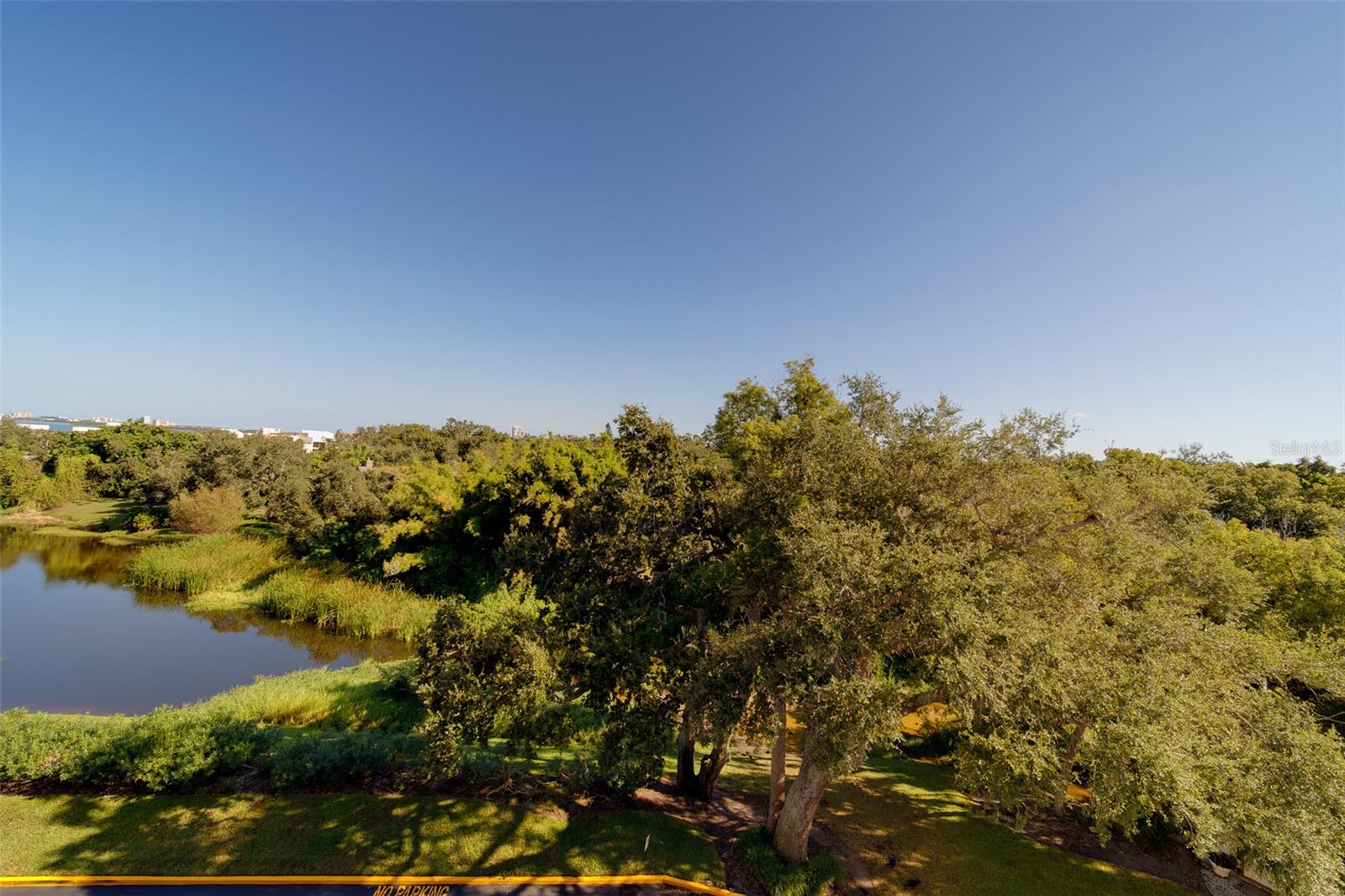 220 BELLEVIEW BLVD #504, BELLEAIR, FL, 33756