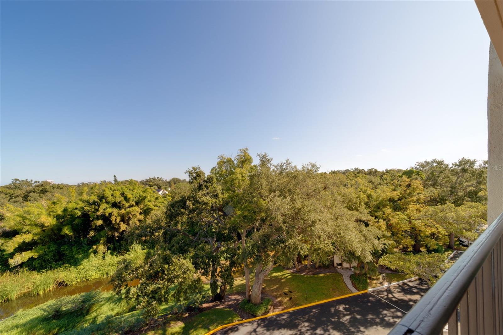 220 BELLEVIEW BLVD #504, BELLEAIR, FL, 33756