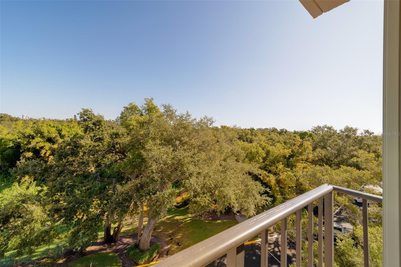 220 BELLEVIEW BLVD #504, BELLEAIR, FL, 33756